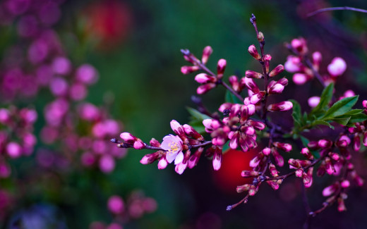 1151738 (a): :2560x1600